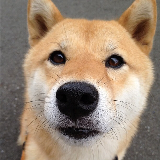 现场氛围热烈:球迷欢呼不断,气氛火爆!,球队气氛