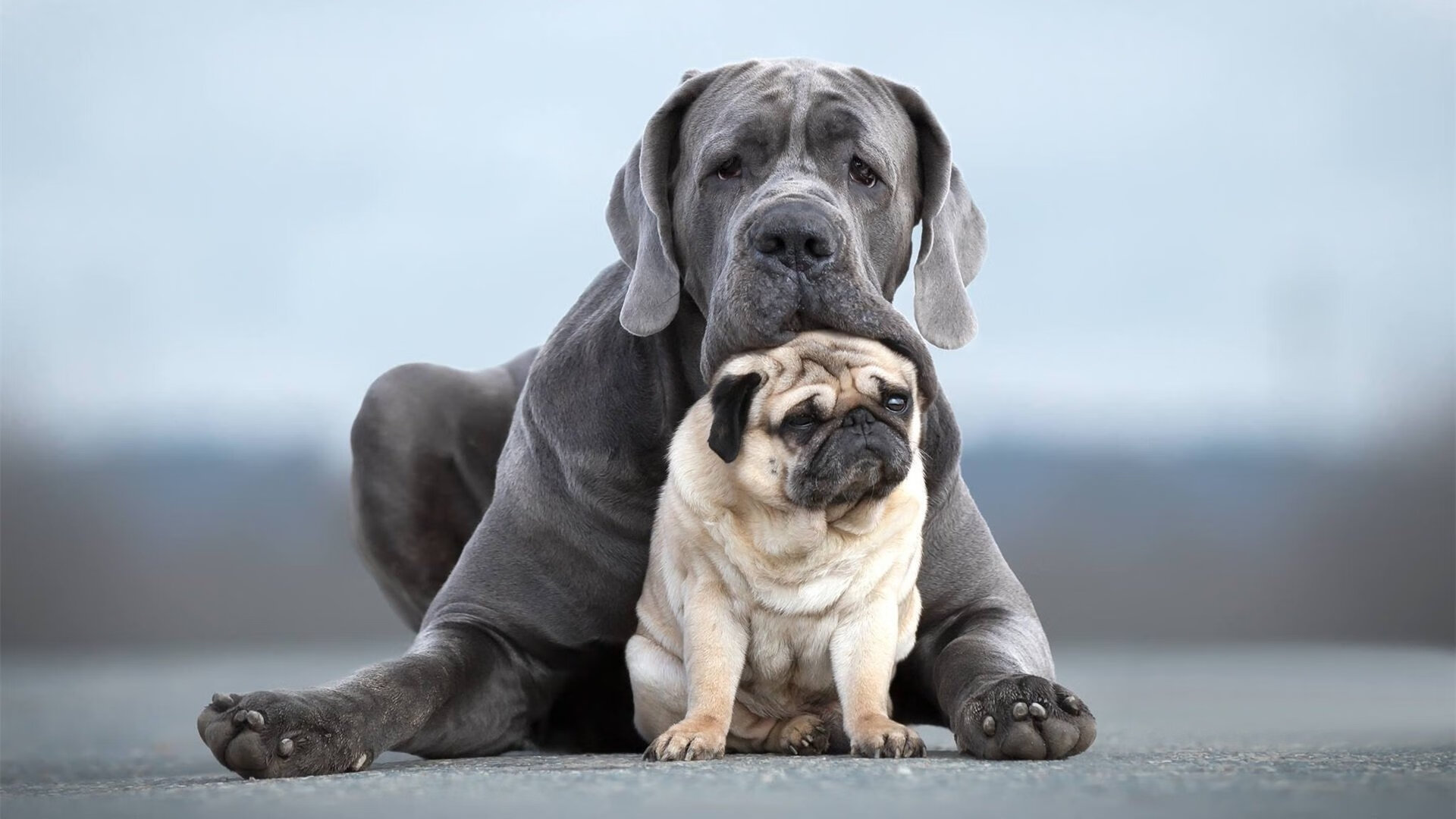 青少年篮球“绿色环保”公益跑在成都顺利举行,2020年青少年篮球比赛