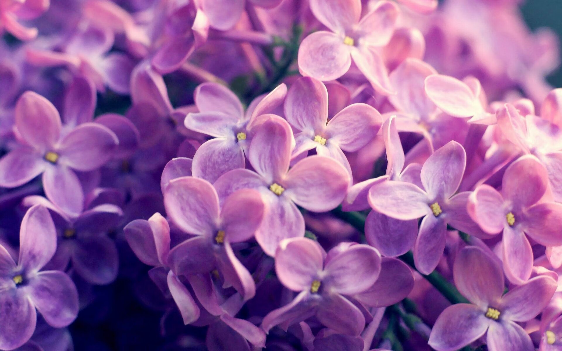 b体育APP-亚眠客场失利后调整，期待下一轮比赛，亚眠属于哪个大区