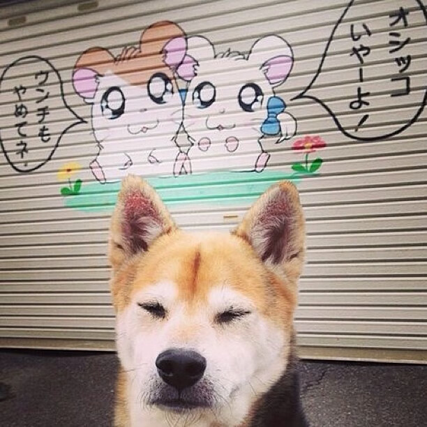 b体育入口-国足阵容老中青结合更加合理，国足老一辈