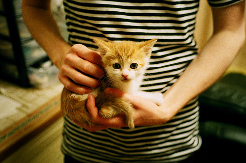 川崎前锋冲击J联赛冠军,川崎前锋首发阵容