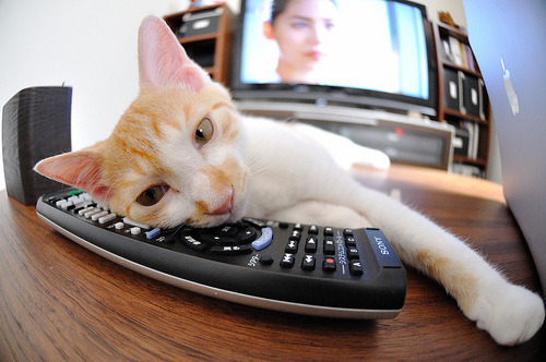 b体育娱乐-普拉提成为健康生活方式的重要组成部分，普拉提对于健身的好处