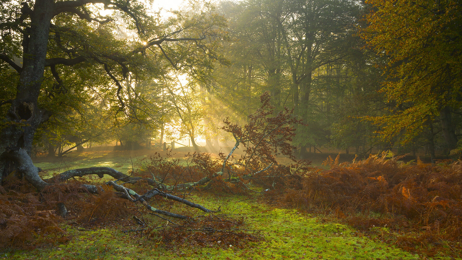 b体育在线平台-欧洲预选赛引发球迷热议，到底是运气还是实力？，欧洲预选赛结束了吗