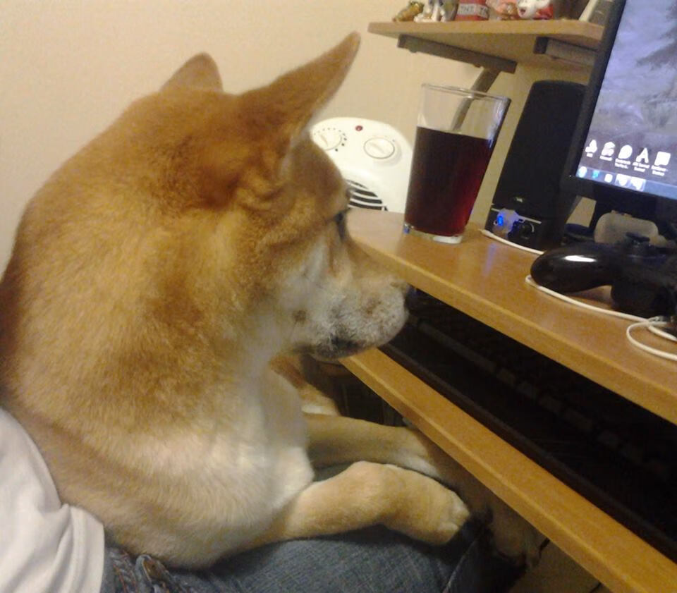 红海部落:多特蒙德将挑战雄心沙尔克,多特蒙德hazard