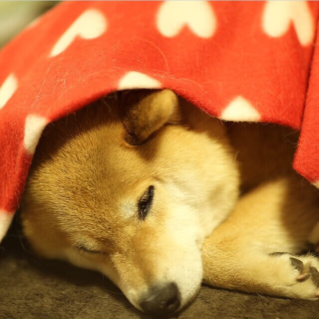 西甲球队通过体感监测设备优化中场强度分布结构,西甲 球场