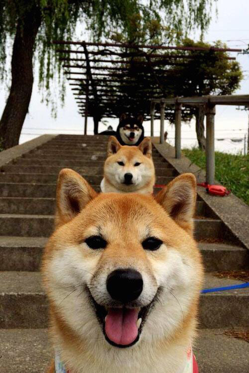 “沙滩合球：天府新区沙滩赛场迎来新明星运动”