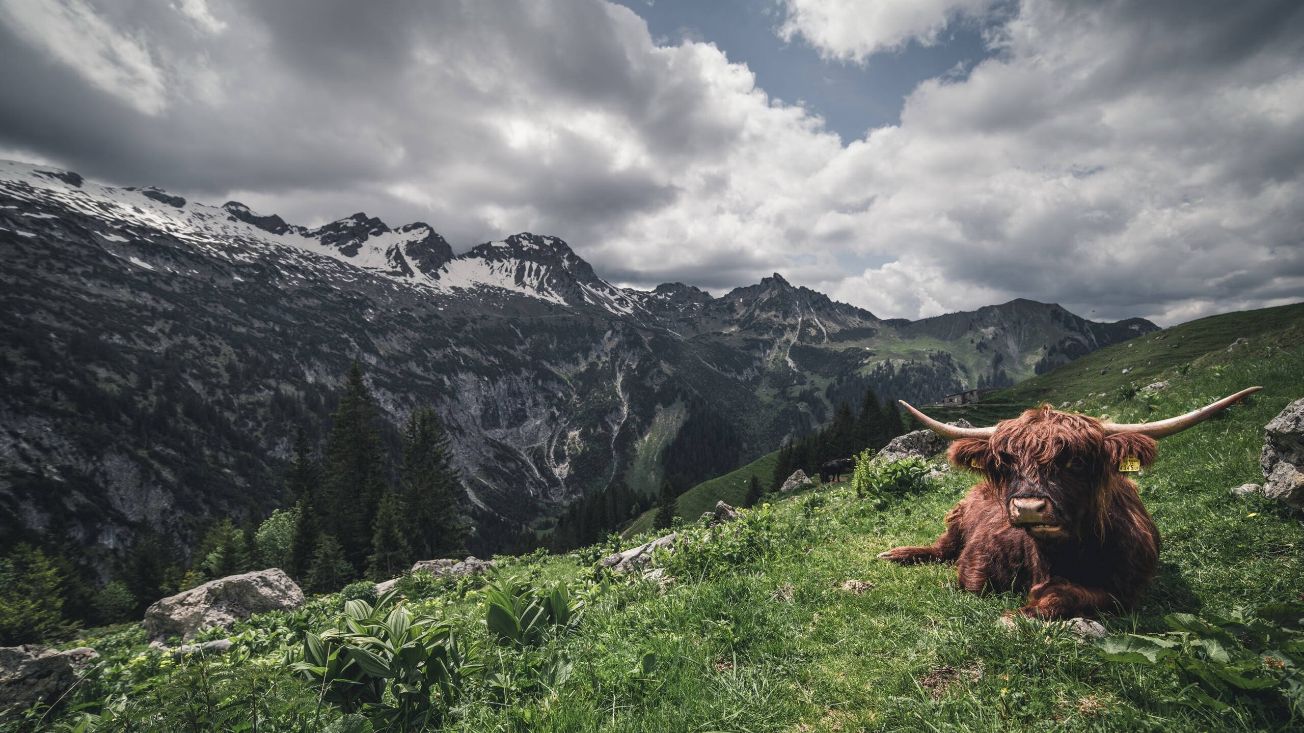 “腰旗美式橄榄球：成都七中东部赛场成现代竞技舞台”