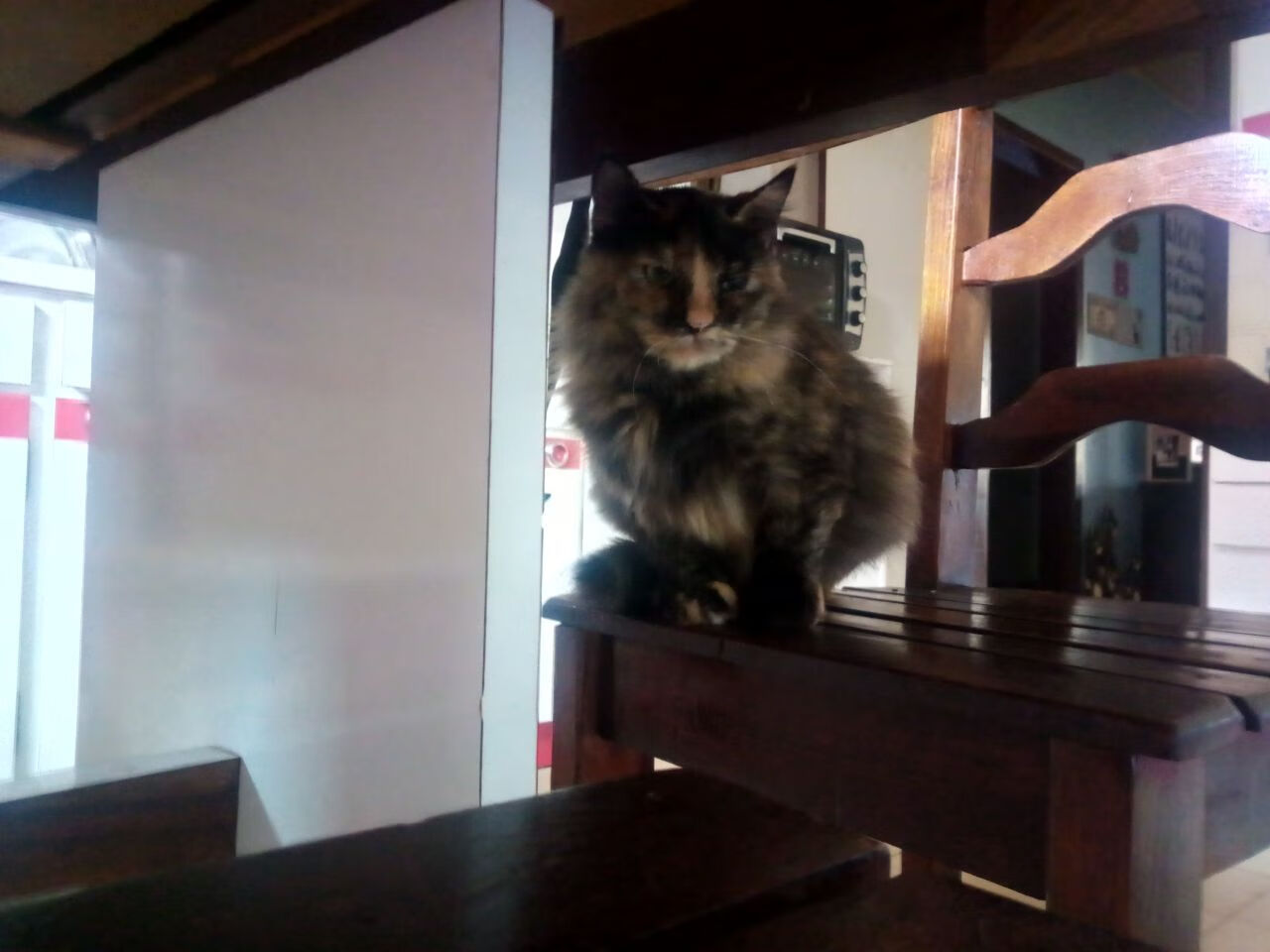 b体育直播-中国男篮积极调整阵容 应对激烈联赛挑战，中国男篮阵容有哪些