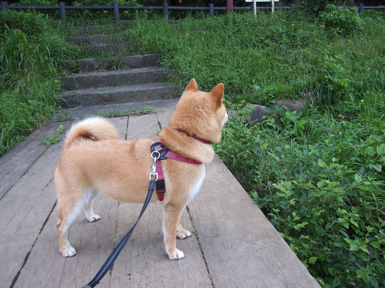 体育新闻中心联合科研机构开展体育内容影响力评估,体育科研热点问题