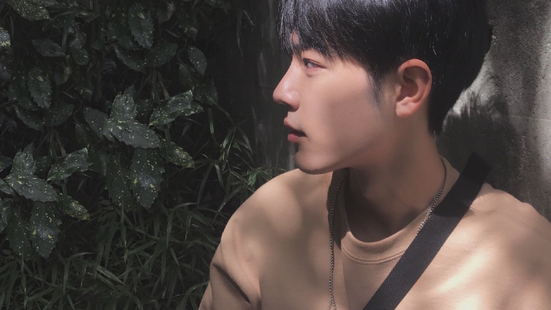 总冠军球队如何走出卫冕之路,总冠军多的角色球员