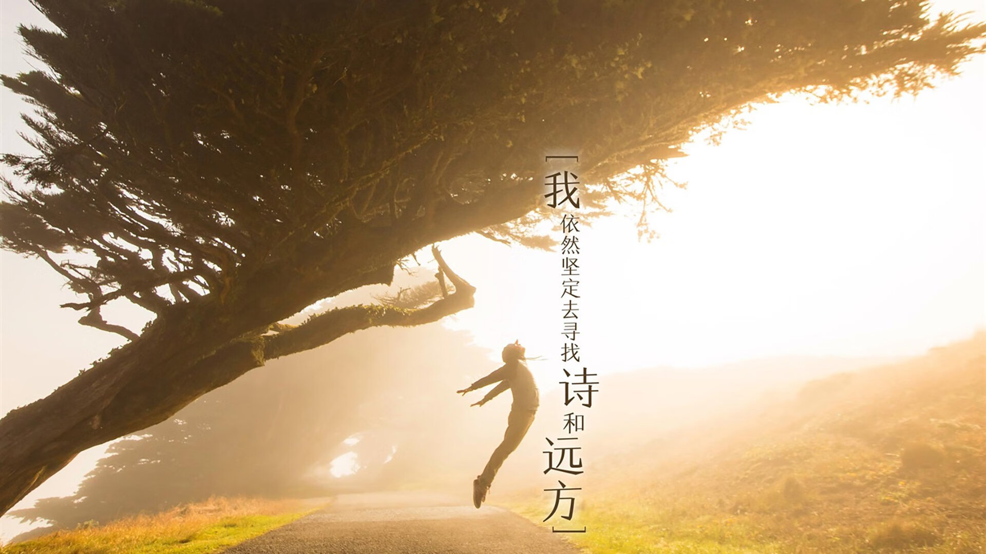 凯瑟琳·伯科夫赛后感谢团队支持，凯瑟琳波尔科维奇