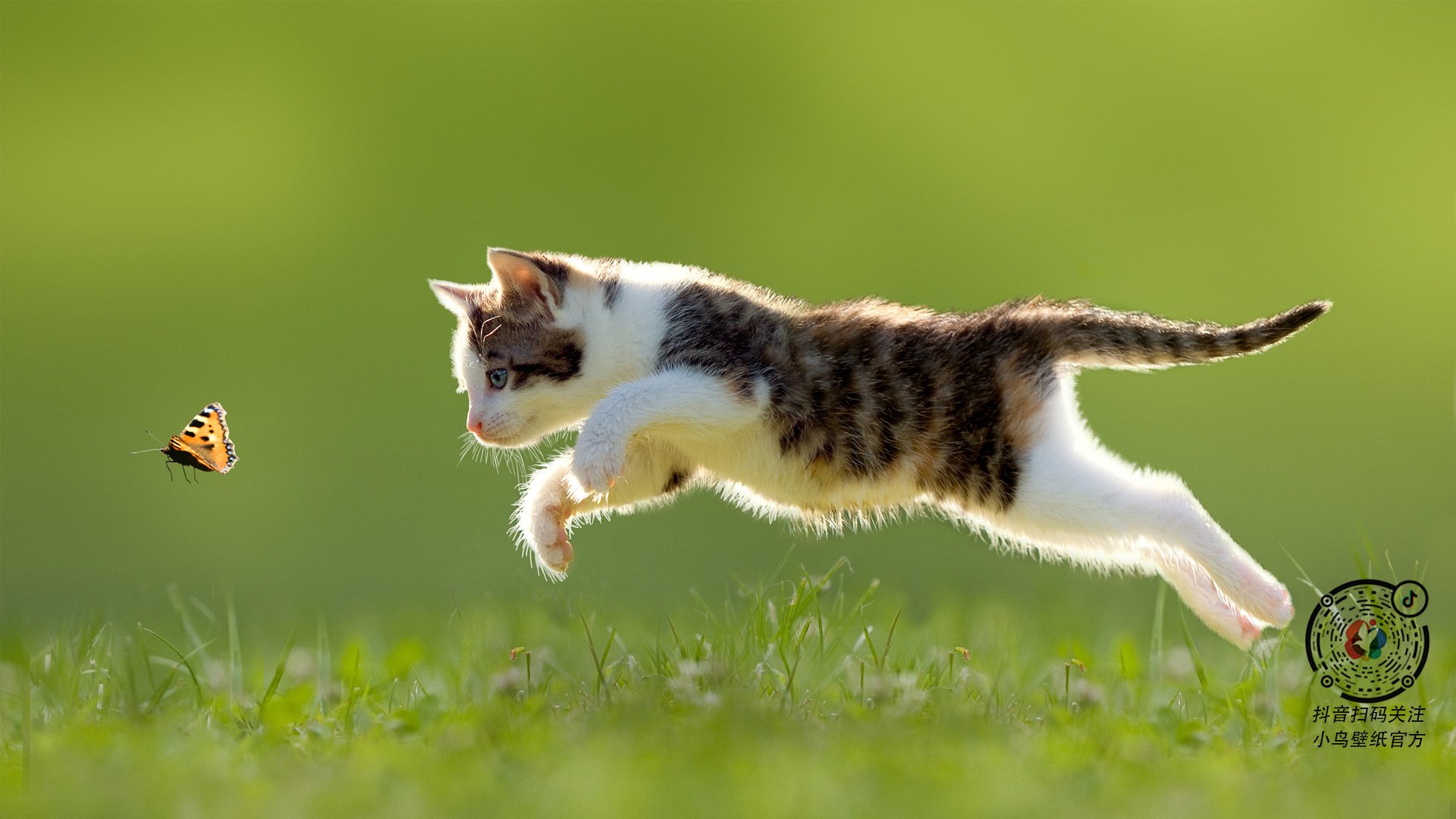 欧洲杯极限扣篮：边路突击中的力量美学，欧洲杯扣篮王