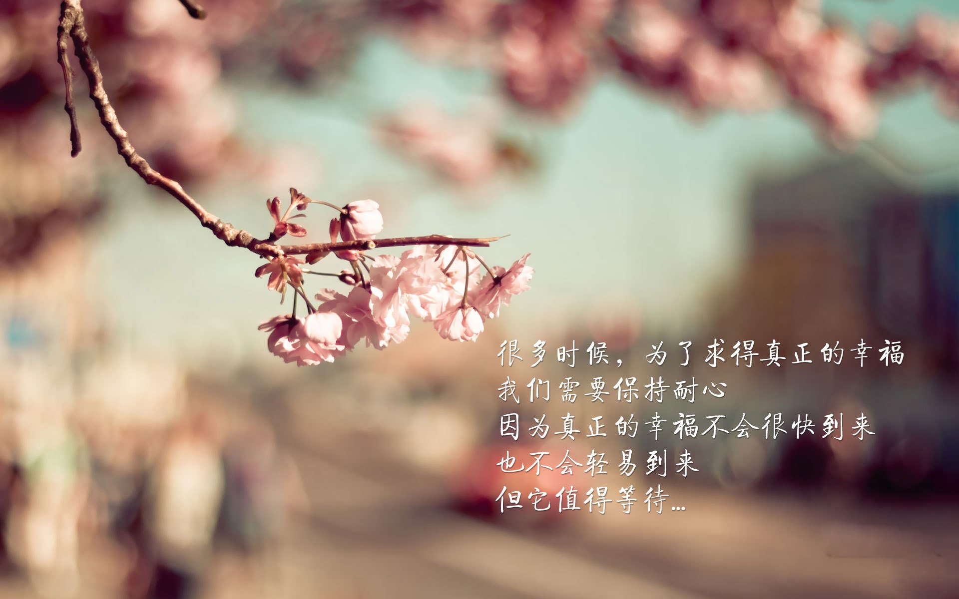 男子组合跳水动作难度系数增加，跳水男团规则