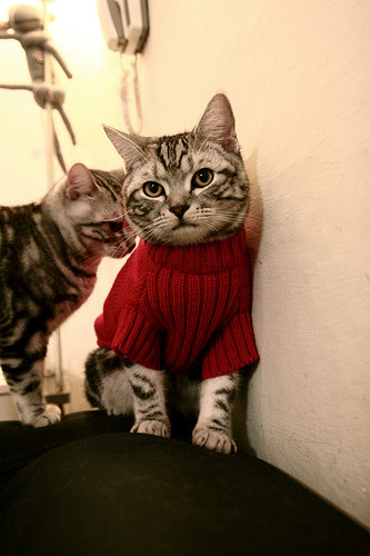 西甲超级精彩：破门、助攻、扑救无一遗漏！，西甲pro