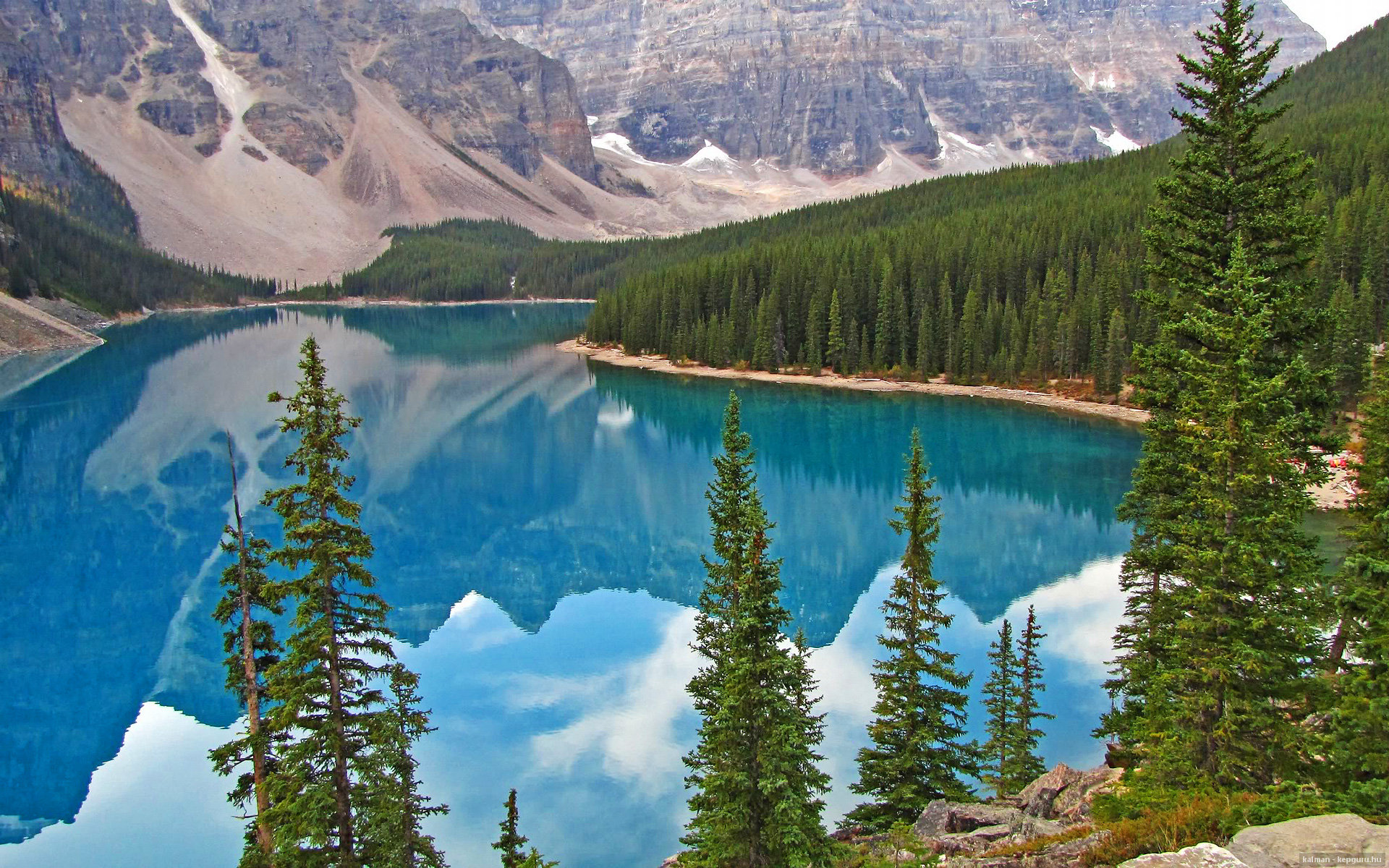 跳水半决赛中立代表队A成功晋级,跳水半决赛人数